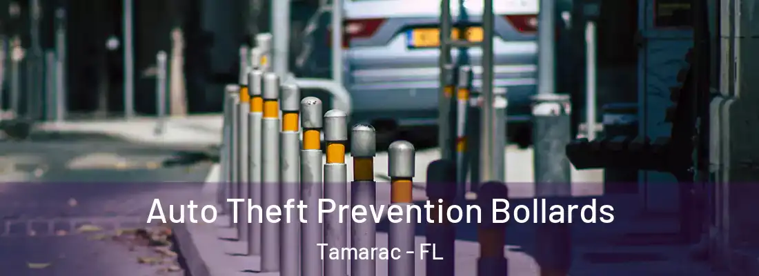 Auto Theft Prevention Bollards Tamarac - FL