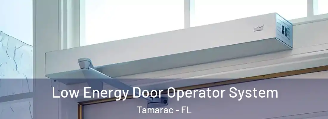  Low Energy Door Operator System Tamarac - FL